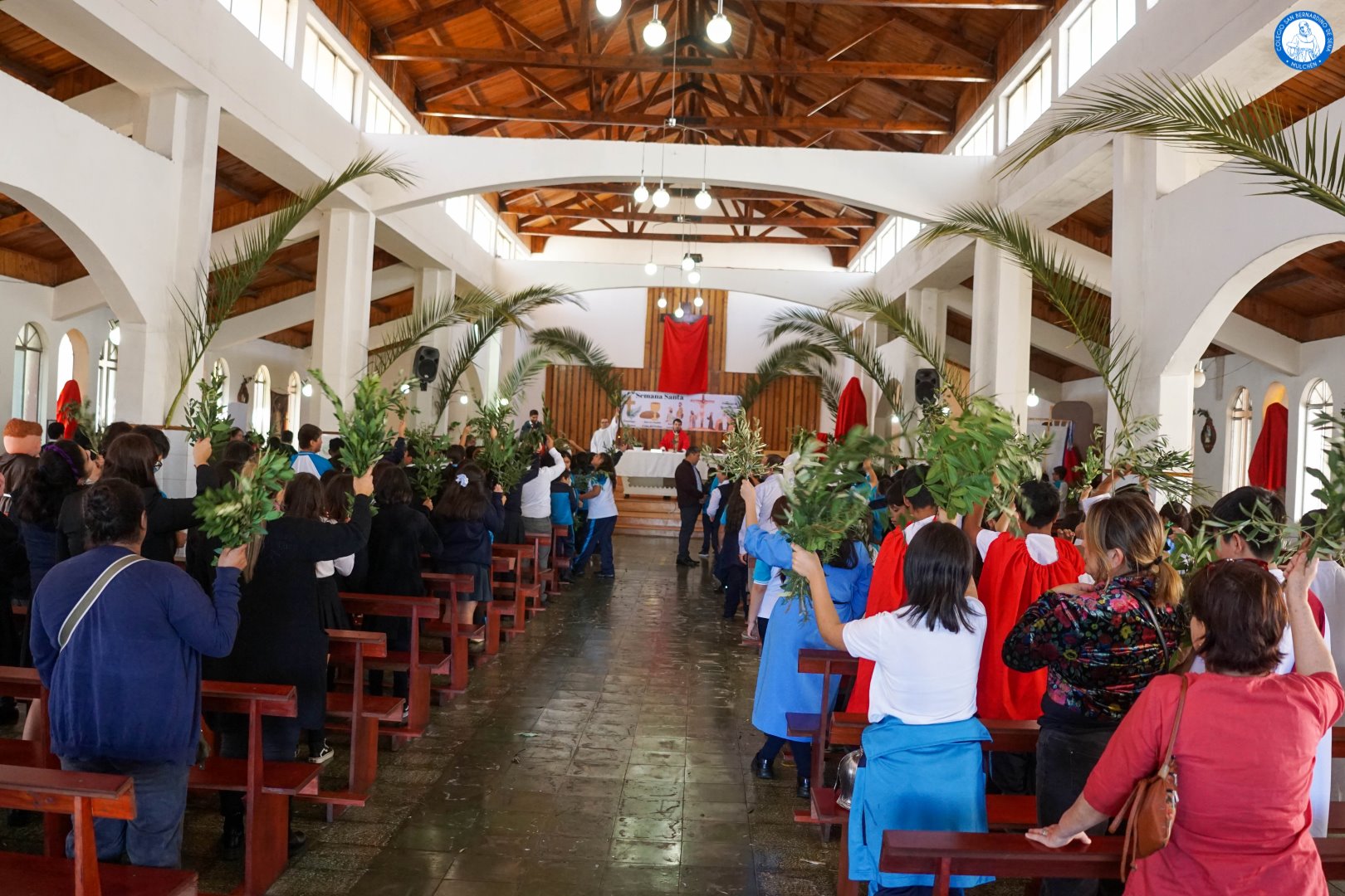 Domingo de ramos 2024