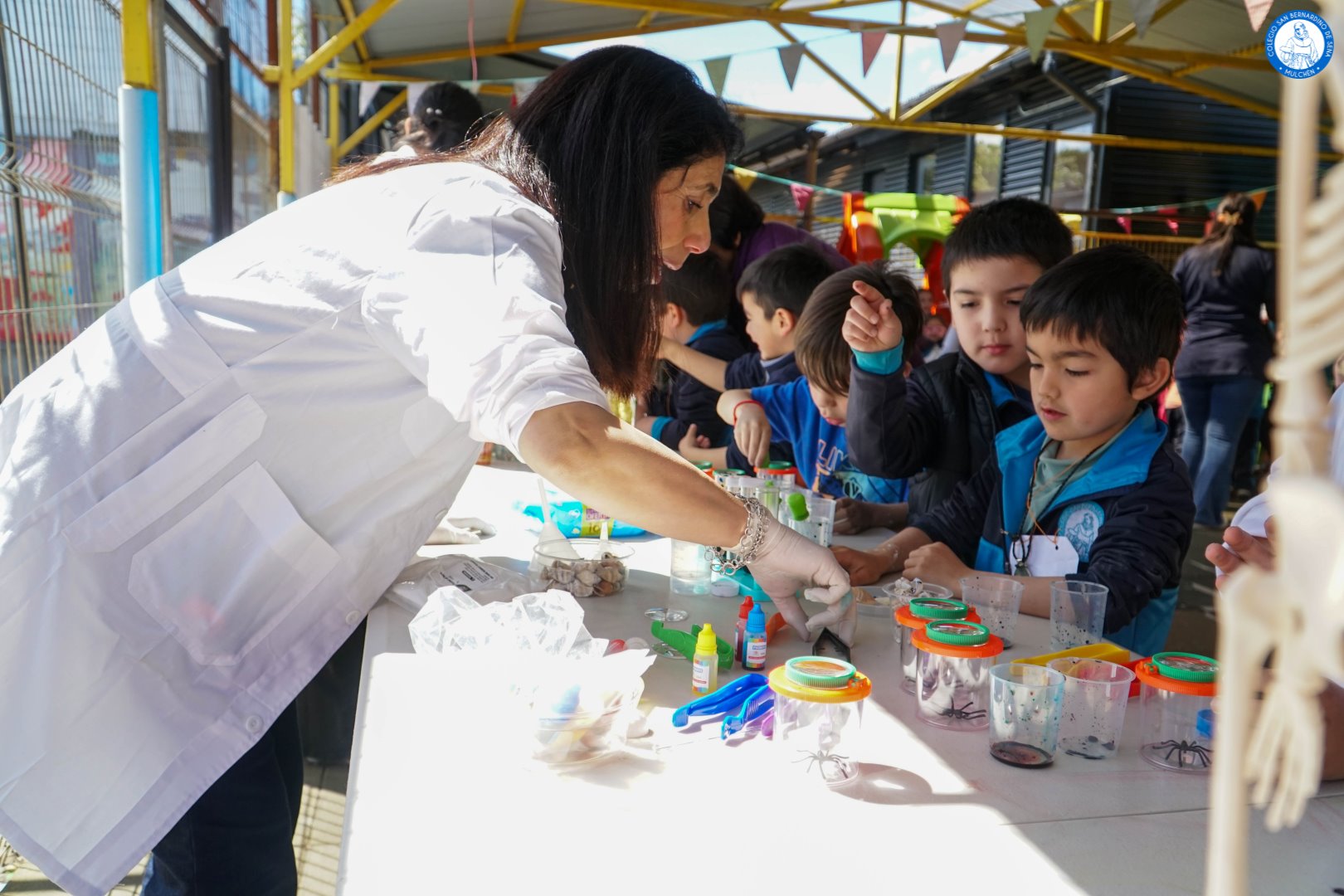 Día de la ciencia 2024